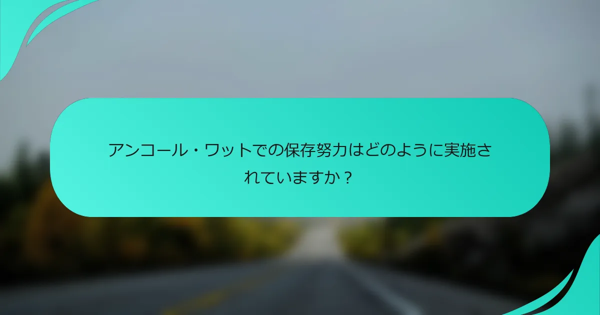 アンコール・ワットでの保存努力はどのように実施されていますか？