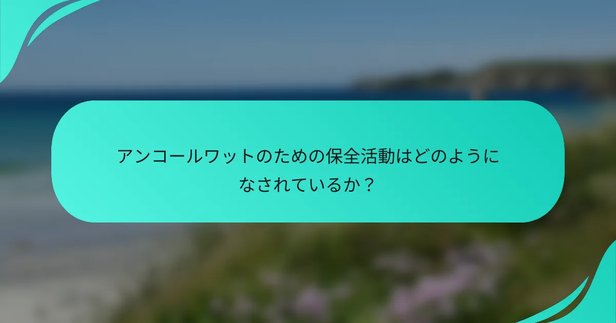 アンコールワットのための保全活動はどのようになされているか？